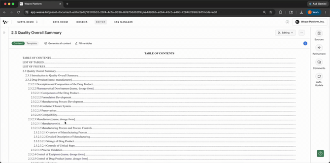 01 — Opening Template View