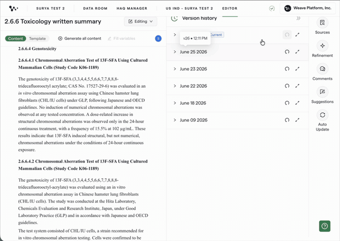 02 — Previewing a version